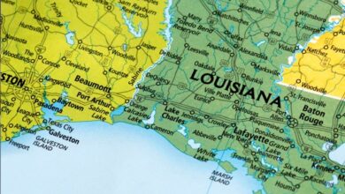 Triple-I Blog | Louisiana Insurance Regulator IssuesCease & Desist Orderto Texas Law Firm