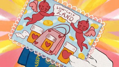 A colorful cartoon drawing shows a hand holding a postcard. The postcard image is of a banner reading “LOW-COST LAND” and being held by two cherry-red Cupids. Below the Cupids are prescription bottles and a shopping bag decorated with hearts. Gold coins with wings decorate the background. Two U.S. passports are visible tucked behind the postcard.