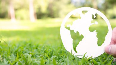 Celebrating Earth Day: A Guide to Sustainability - Bankers Insurance Group