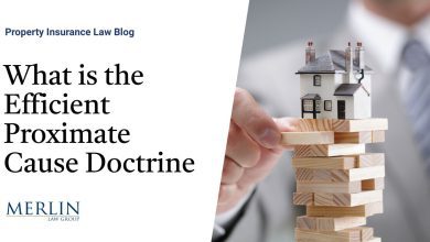 What is the Efficient Proximate Cause Doctrine? Why Public Adjusters and Policyholders Should Care | Property Insurance Coverage Law Blog
